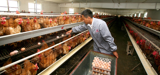 打造品牌優(yōu)勢，推動特色農(nóng)產(chǎn)品上行 農(nóng)產(chǎn)品生產(chǎn)端的戰(zhàn)略思維